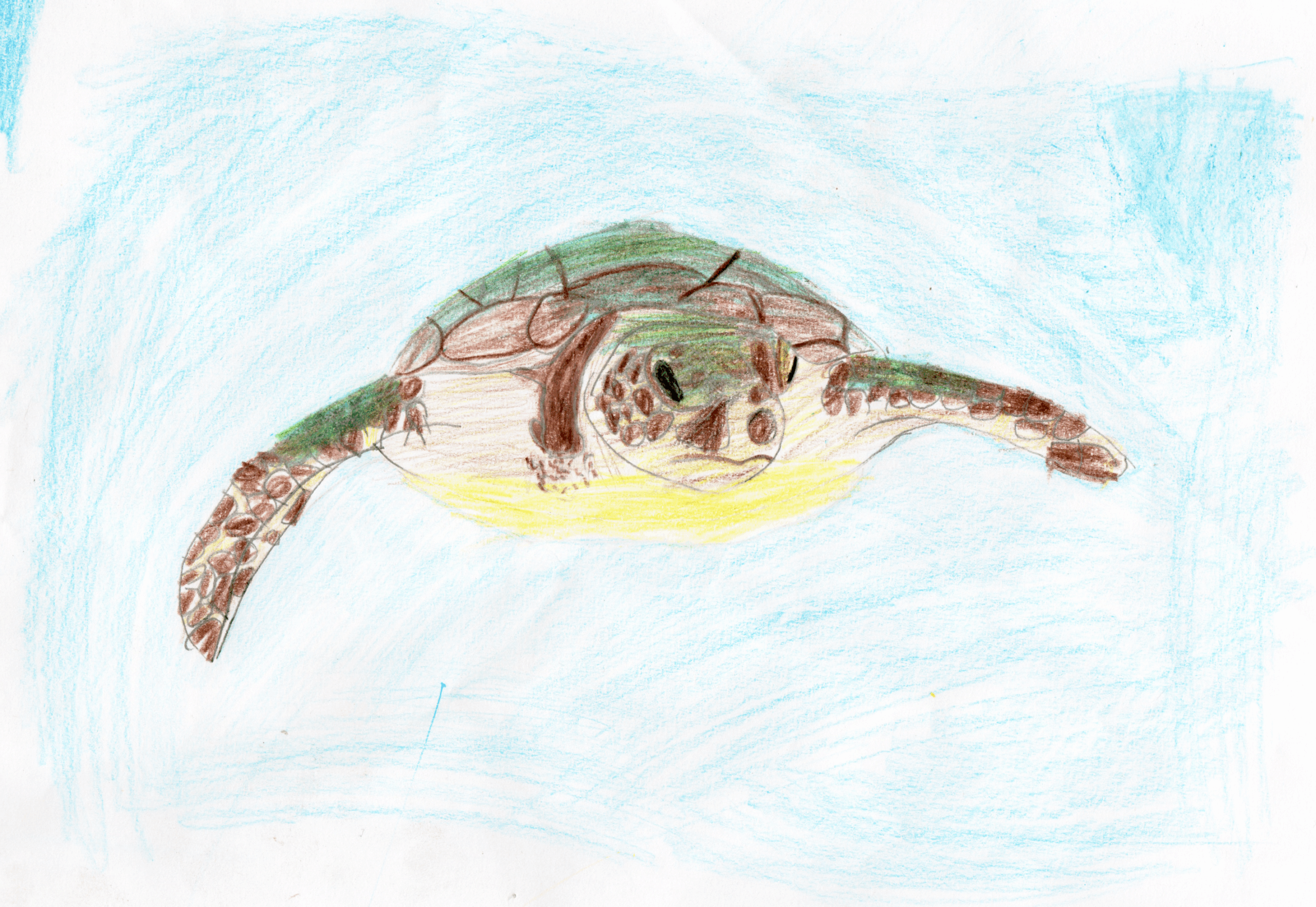 Anderson_Margot_9 Hannah Anderson