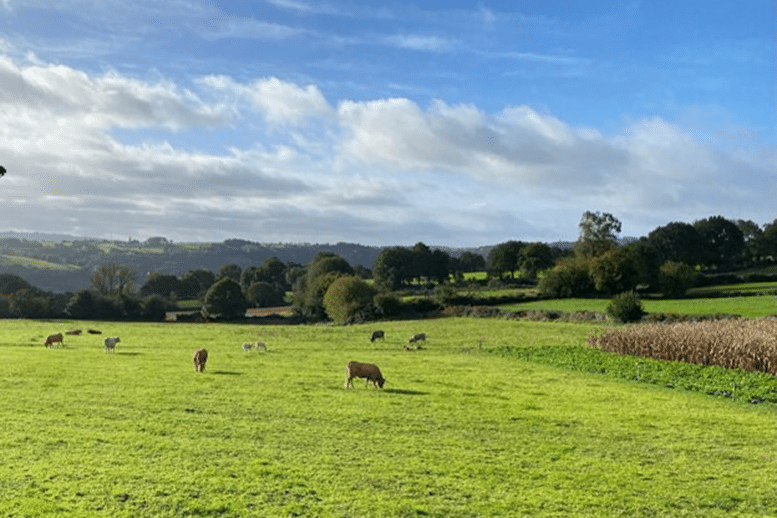 Gospel&Grain2017_0067 1